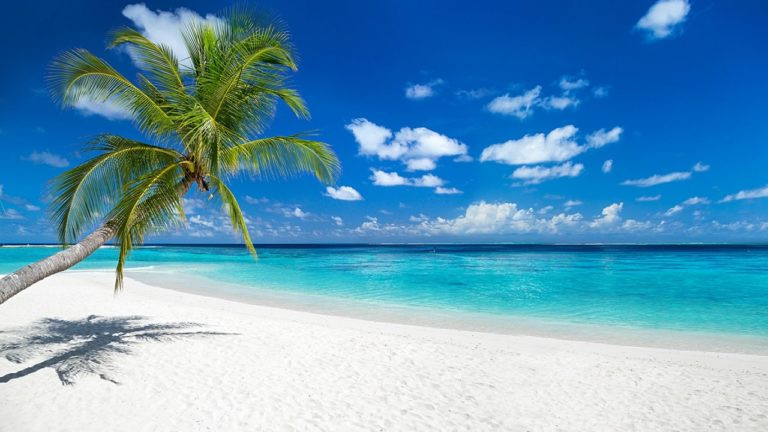 What are the Top 12 Beaches in the Caribbean?